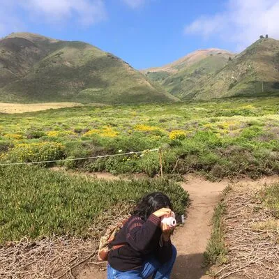 Garrapata State Park, Carmel, CA